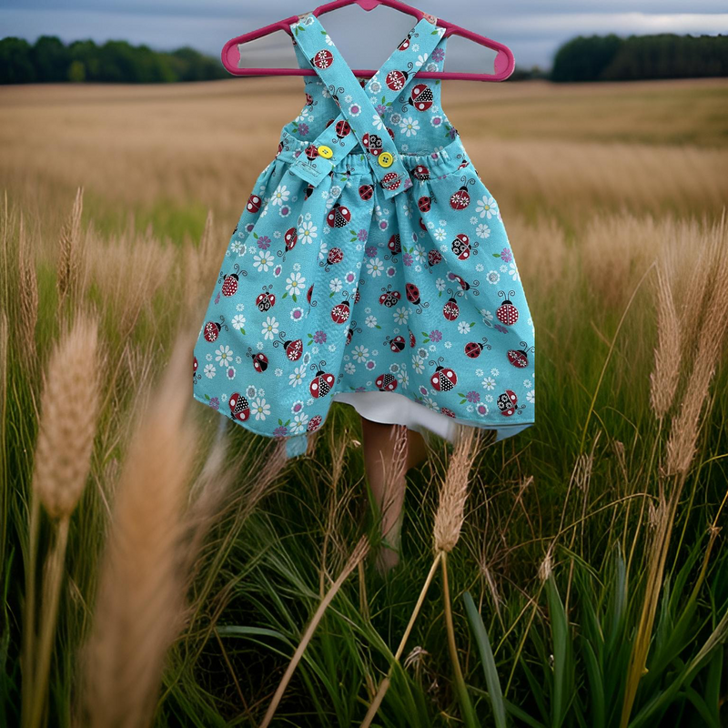 Infant Sundress, Sparkly Ladybugs